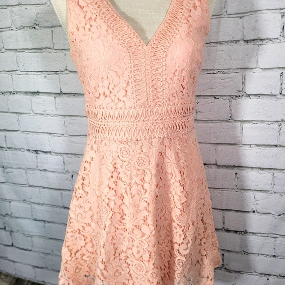 lace open back mini dress Plus Size Neon Pink Sheer Lace Open Back Mini Dress